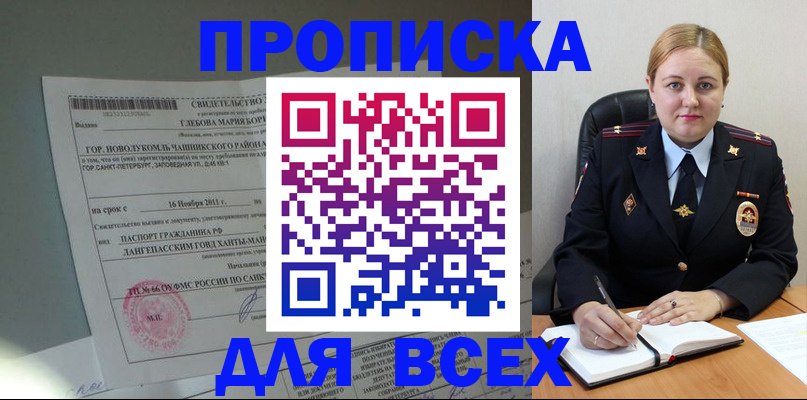 прописка поиск в Волоколамске